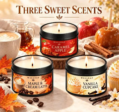 Set of 3 luminous fragrances